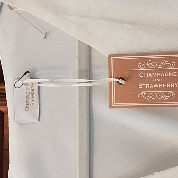 Champagne & Strawberry cream lace mini with partial tags, size M - Picture 2 of 5